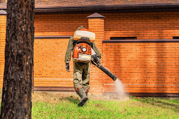 Trusted Bed Bug Control service in Camp Verde, AZ - Nex Pest Control